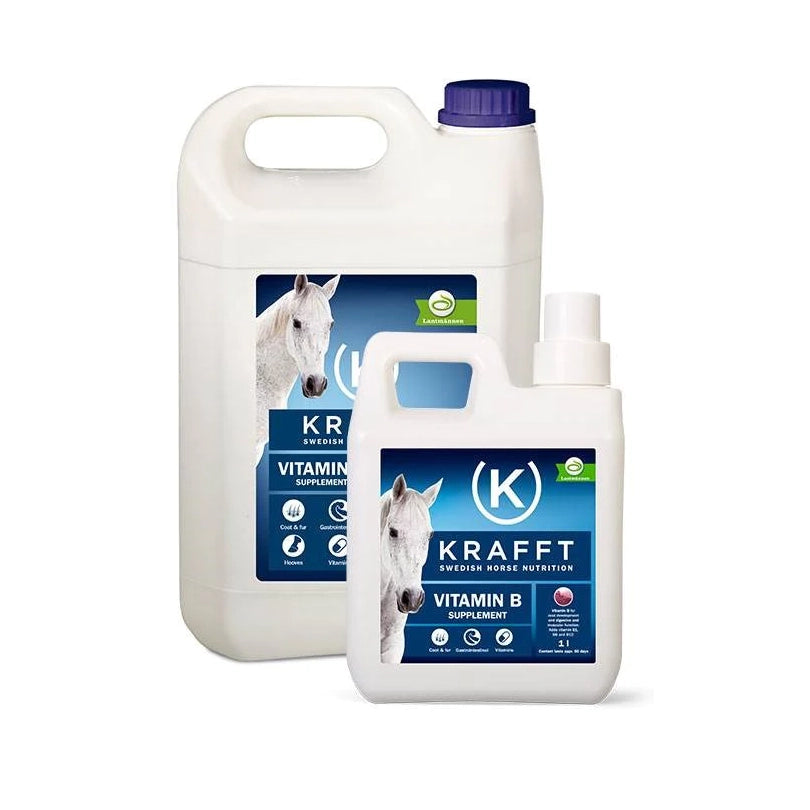 Krafft Vitamin B 1L